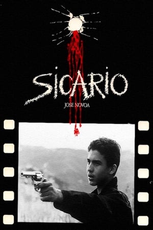 Poster Sicario 1994