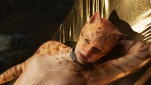 Capture of Cats (2019) HD Монгол хадмал