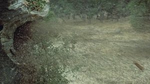 The Swarm (1978)