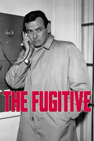 Poster The Fugitive 1963