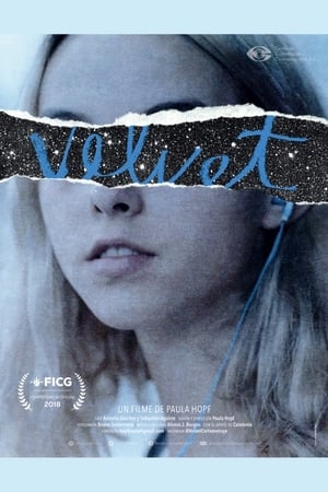 Poster Velvet 2018