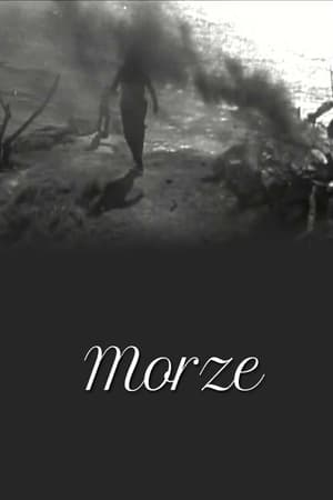 Morze 1933