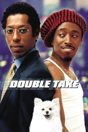 Poster Double Take 2001