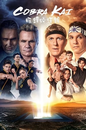 Poster Cobra Kai 2018