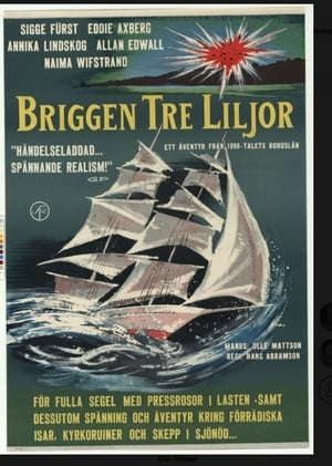 Image The Brig Three Lilies