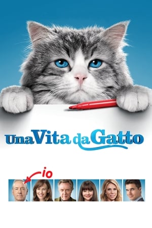 Poster Una vita da gatto 2016