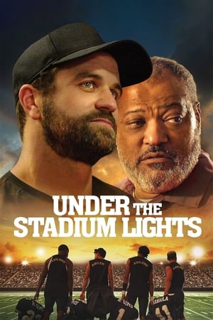 Image Under the Stadium Lights