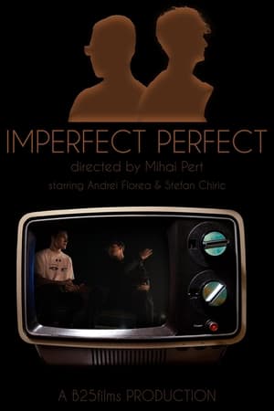 Imperfect Perfect 2024