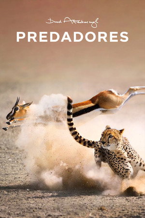 Predadores (2015)