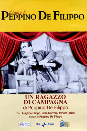 Image Un ragazzo di campagna