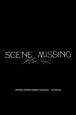 Image Scene Missing