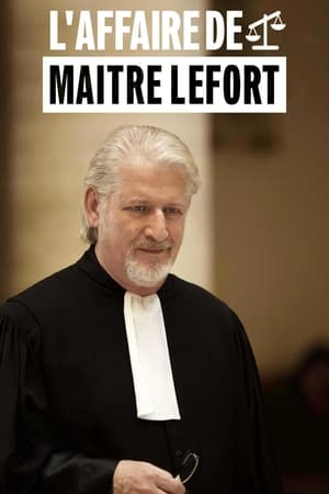 Image L'Affaire de maître Lefort