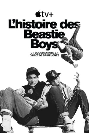 Image Beastie Boys Story