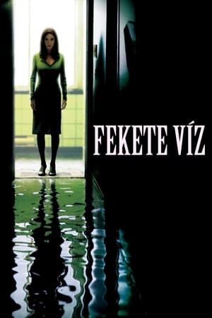 Poster Fekete víz 2005