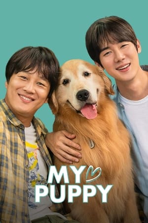 My Heart Puppy 2022 Hindi ORG Dual Audio