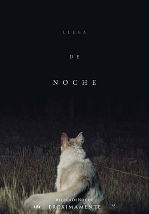 Poster Llega de noche 2017