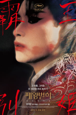 Poster 패왕별희 1993