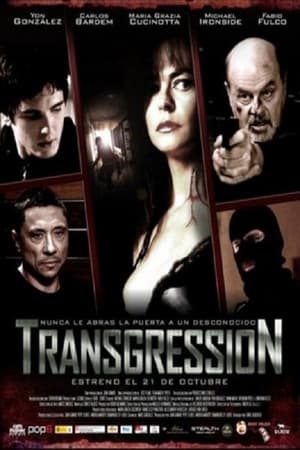 Poster Transgression 2011