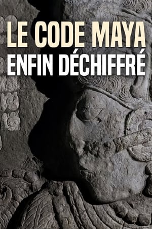 Image Breaking the Maya Code