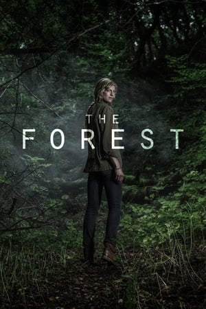Poster The Forest 2017