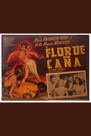 Image Flor de caña