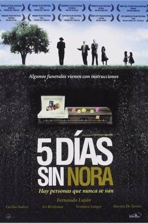 Image Cinco días sin Nora