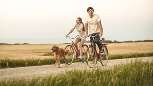 A Dog’s Purpose (2017)