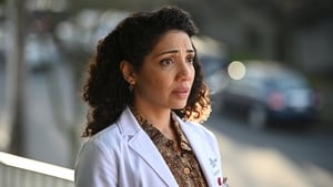 The Good Doctor Season 3 Episode 14