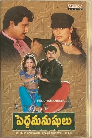 Poster పెద్దమనుషులు 1999