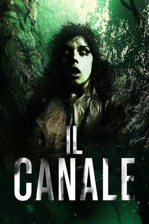 Il canale 2014