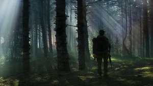 Images posters