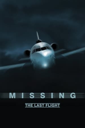 Image Missing - The Last Flight