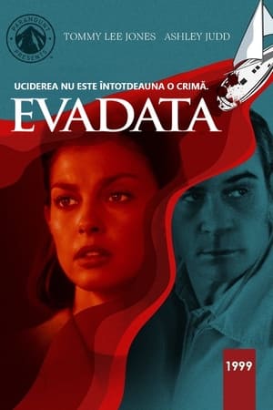 Poster Evadata 1999