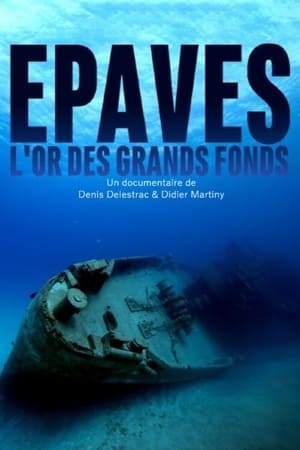 Image Épaves, l'or des grands fonds