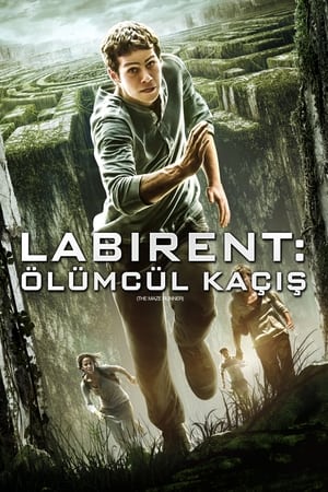 Poster Labirent: Ölümcül Kaçış 2014