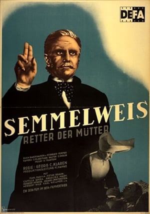 Image Semmelweis – Retter der Mütter