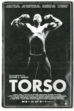 Torso (2018)