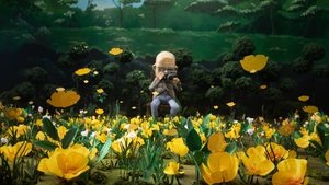 A Man Who Takes Pictures of Flowers (2025)
