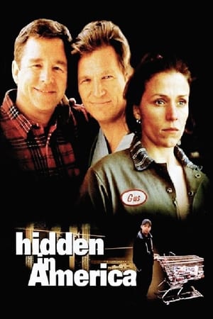 Poster Hidden in America 1996