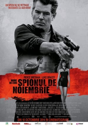 Poster Nume de cod: Spionul de noiembrie 2014