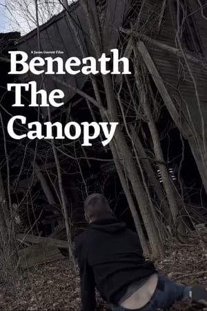 Image Beneath the Canopy