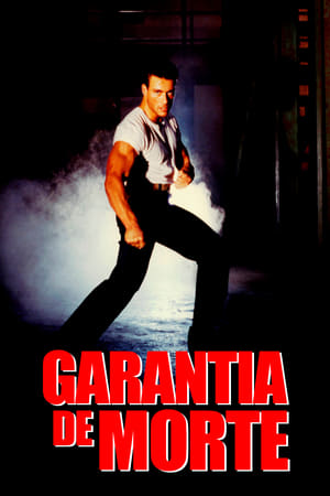 Poster Van Damme Implacável 1990