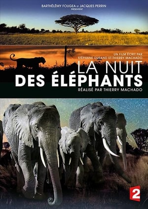 Image La nuit des éléphants