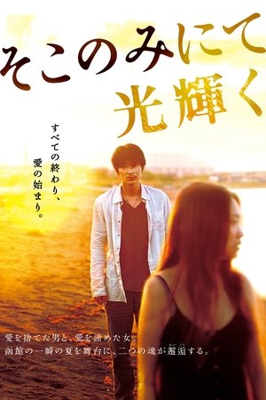 The Light Shines Only There (2014)
