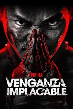 Poster Venganza implacable 2024 Poster Venganza implacable 2024