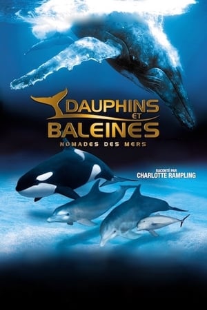 Télécharger IMAX Dauphins et baleines : Nomades des mers ou regarder en streaming Torrent magnet 