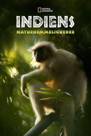 Image Secrets of Wild India