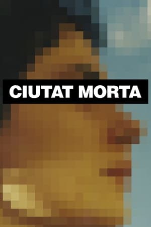 Poster Ciutat morta 2014