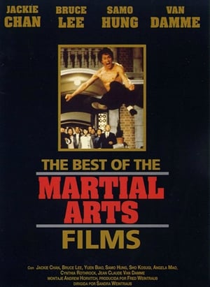 Poster Lo mejor de las artes marciales 1990