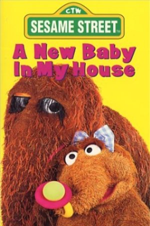 Sesame Street: A New Baby In My House (1994)